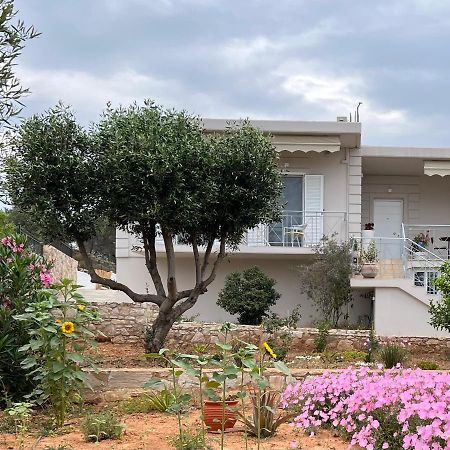 Villa Maxima Lavrio Thorikon Exterior foto
