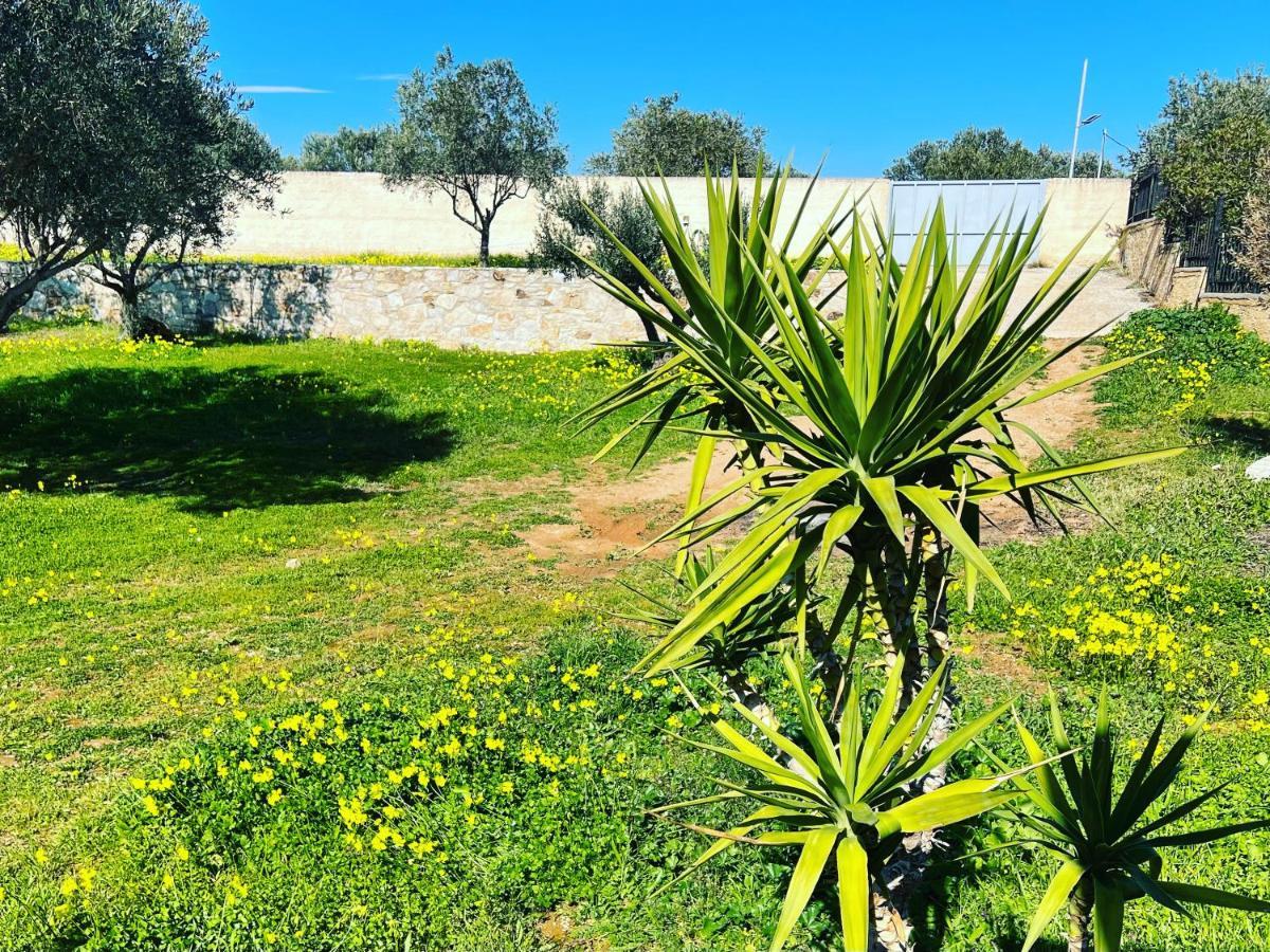 Villa Maxima Lavrio Thorikon Exterior foto